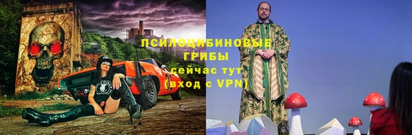 кокс Алексин