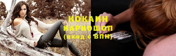 кокс Алексин