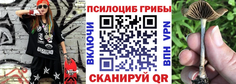 Галлюциногенные грибы Magic Shrooms  наркошоп  Волоколамск 