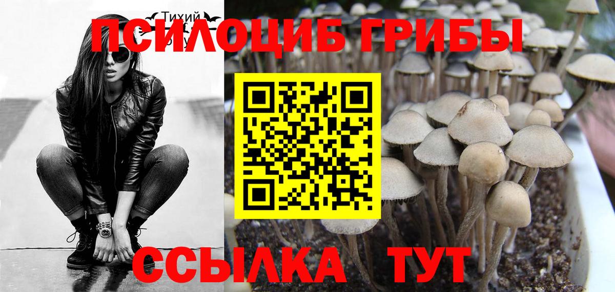 Псилоцибиновые грибы мицелий  Галлюциногенные грибы Magic Shrooms  Вход с VPN  Волоколамск 